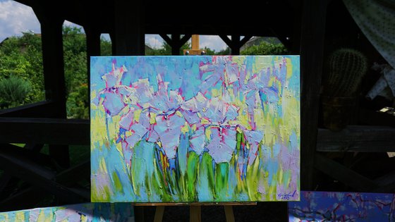 Iris morning