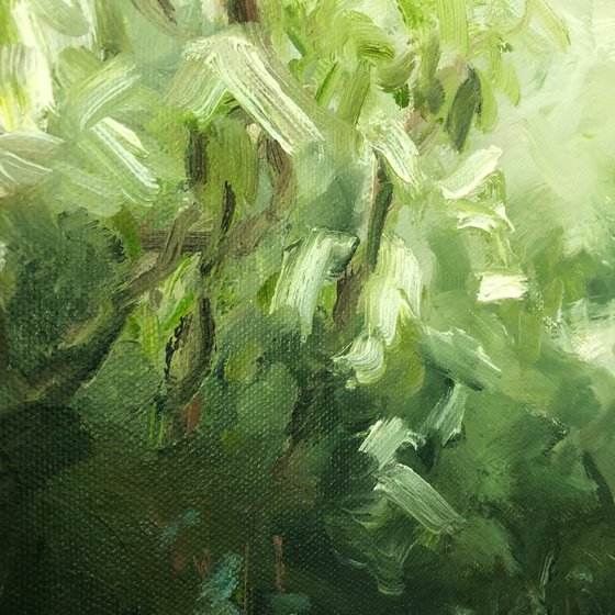 blossom
