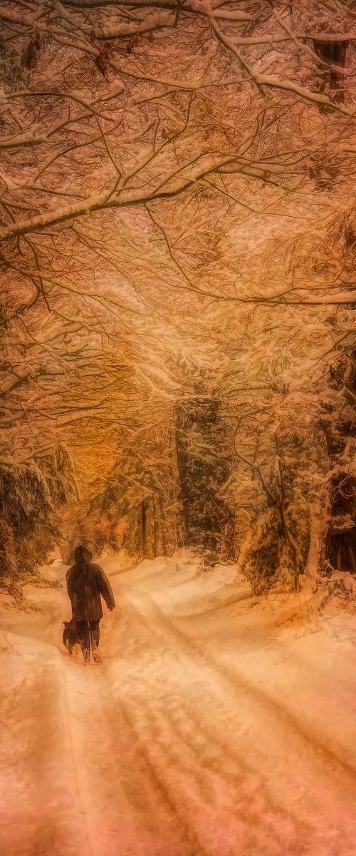Snow Walk by Martin  Fry