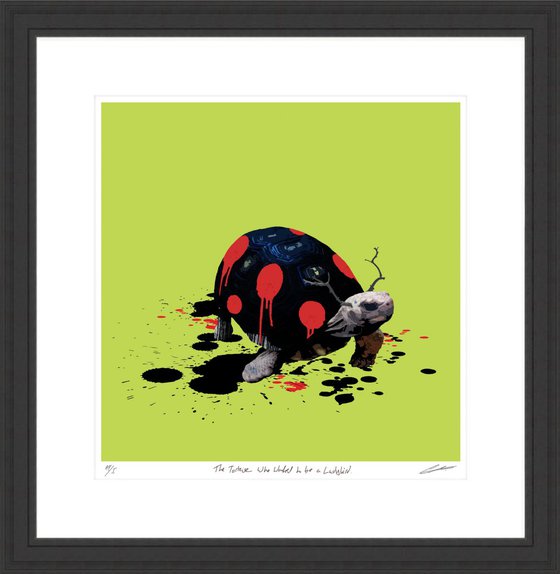 The Tortoise Who Wanted to be a Ladybird