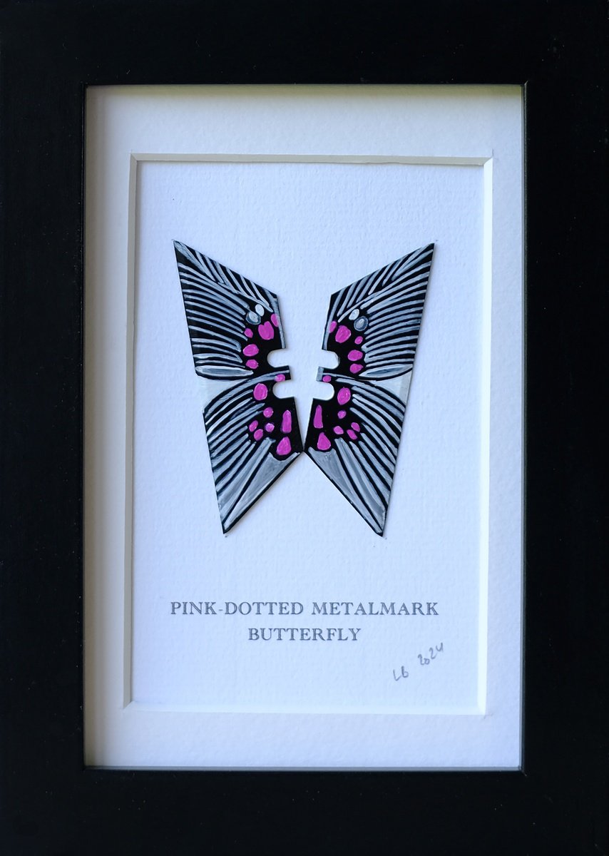 Pinkdotted metalmark by Lene Bladbjerg