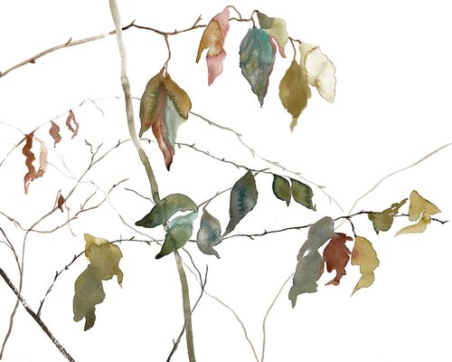 November Branches No. 17 by Elizabeth Becker