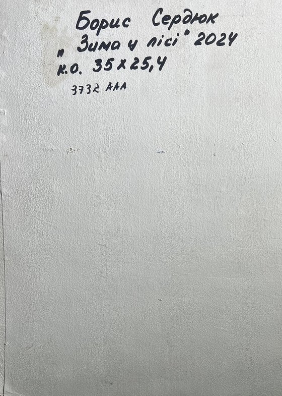 Winter in the Forest