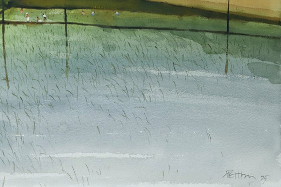 Paddy fields minimal composing