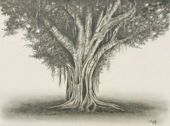 Banyan Tree Art