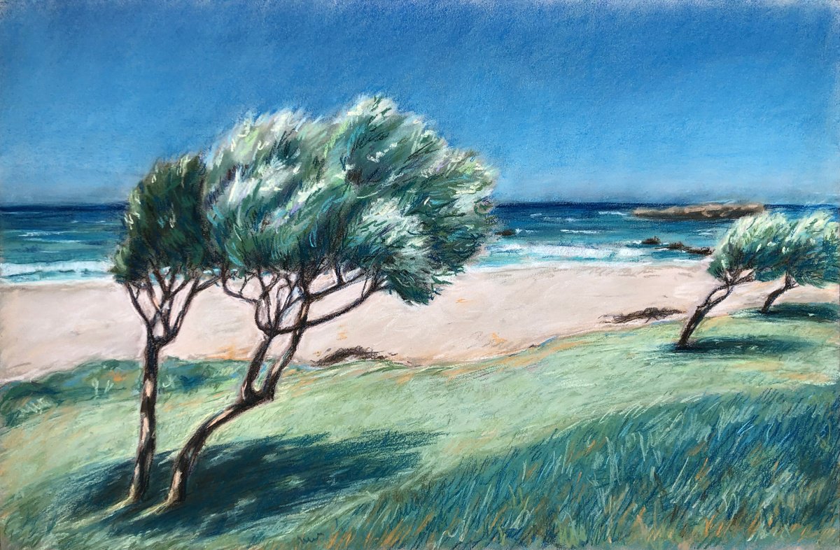 Cape Town Trees on the shore by Daria Startseva