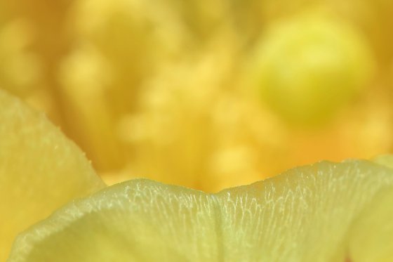 Fragility