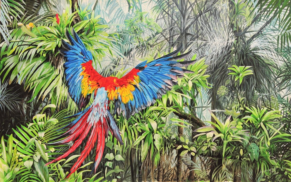 Photorealistic Animal Acrylic Painting By Julian Wheat, 44 X 28", Scarlet Macaw, Original Artwork