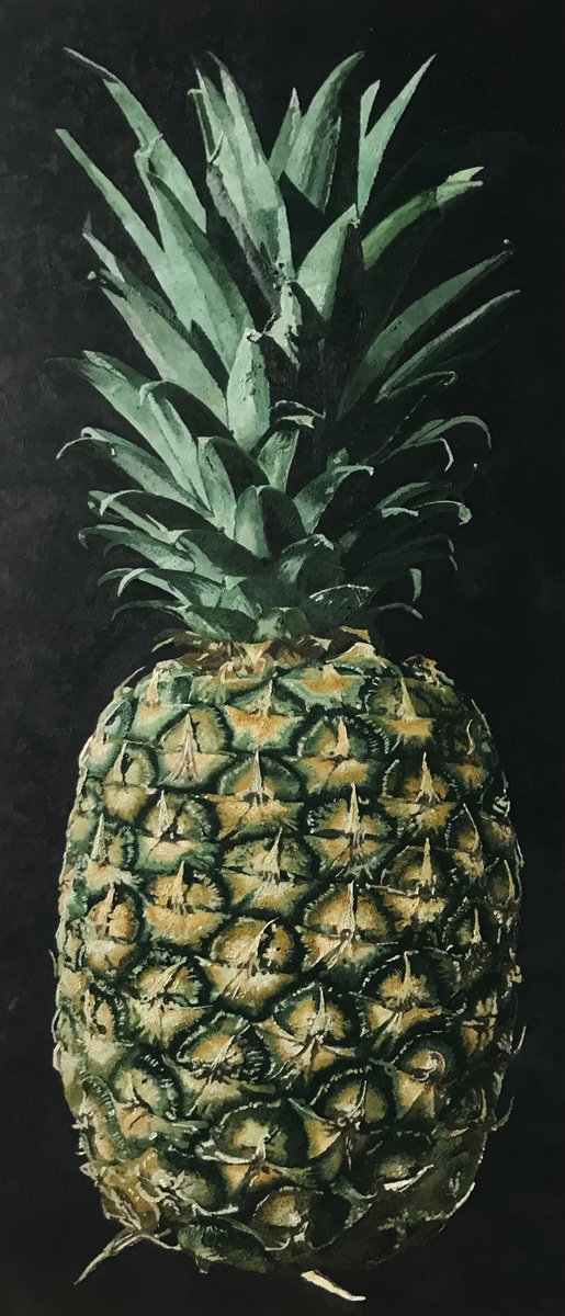 ananas by simone giaiacopi