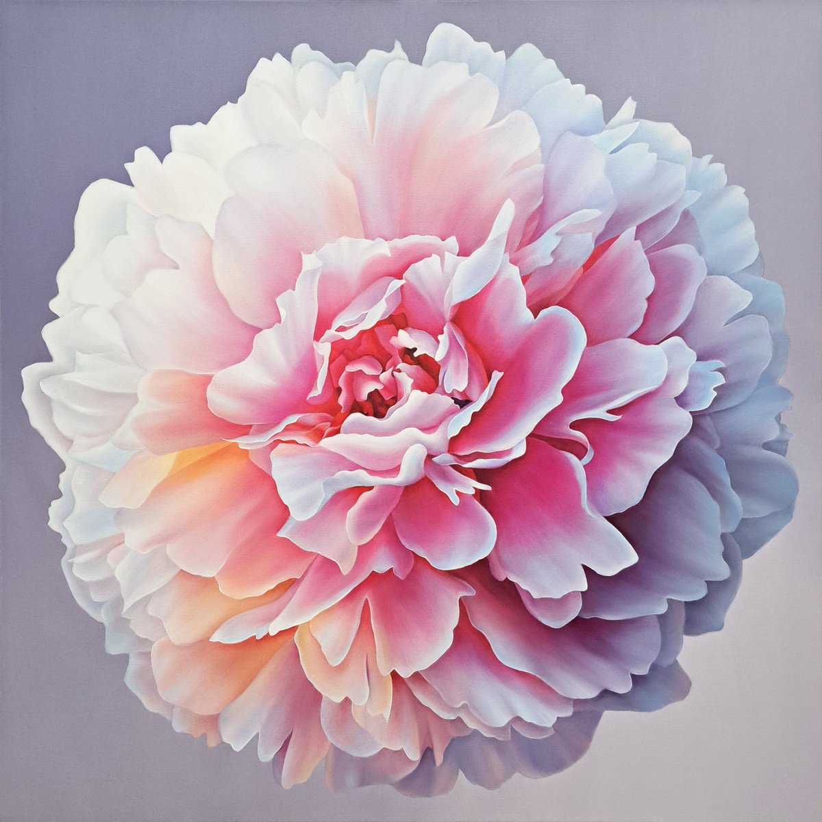 Photorealistic Botanical Oil Painting By Anna Steshenko, 33 X 33, Charming Peony, Original Artwork