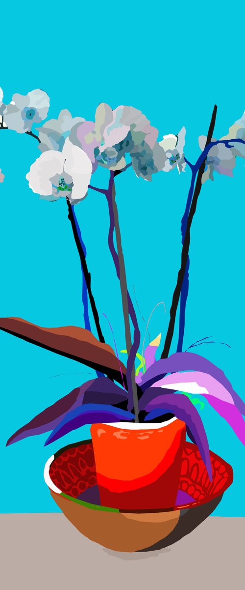 Medusozoa Orchidaceae (pop flower floral) by Alejos