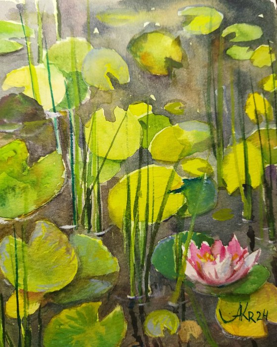 Pond with water Lilies