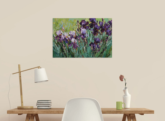 Blooming Irises
