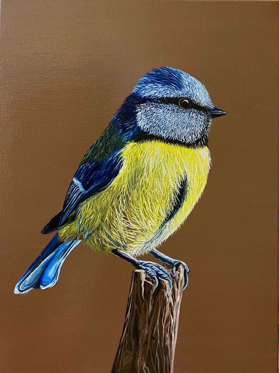 Impressionistic Animal Oil Painting By Elena Adele Dmitrenko, 12 X 16, Titmouse, Original Artwork