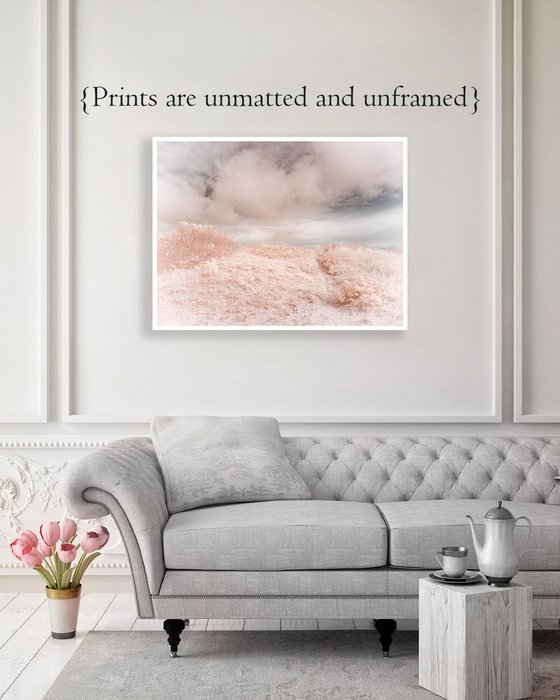 Trail Over Dunes, Infrared - 40 x 30"