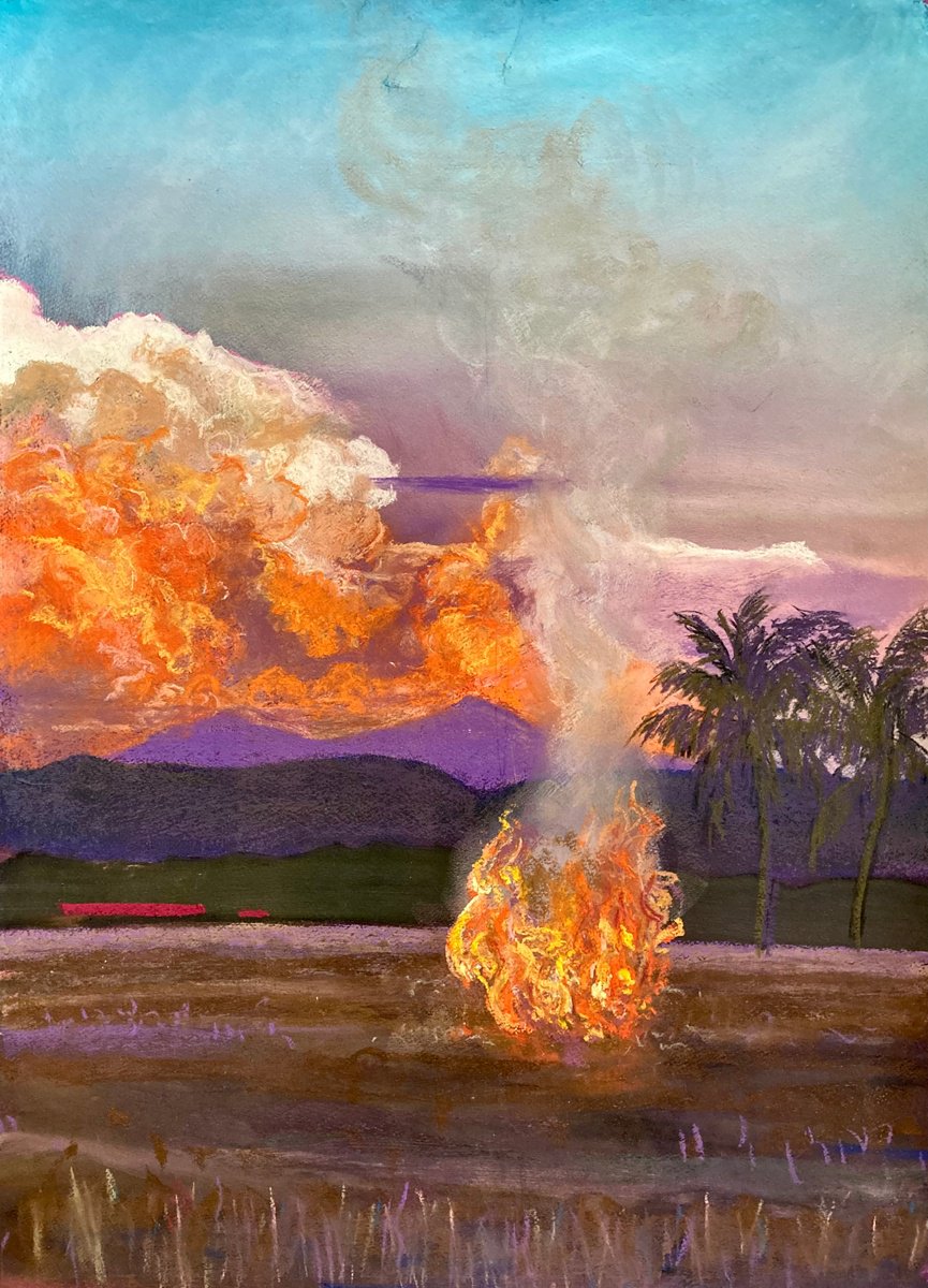 Fire in the field by John Cottee