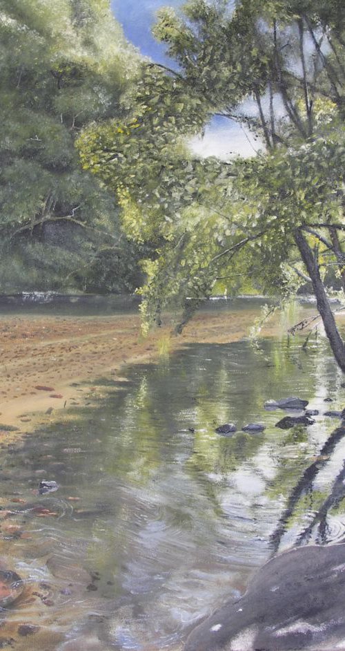 River Dart by John Barrett