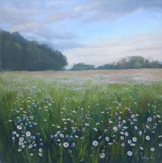 Field of daisies