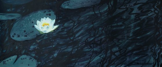 Nocturne for a Water Lily