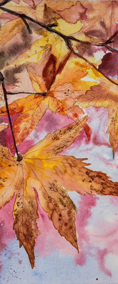 Autumn Leaves by Aneta Gajos