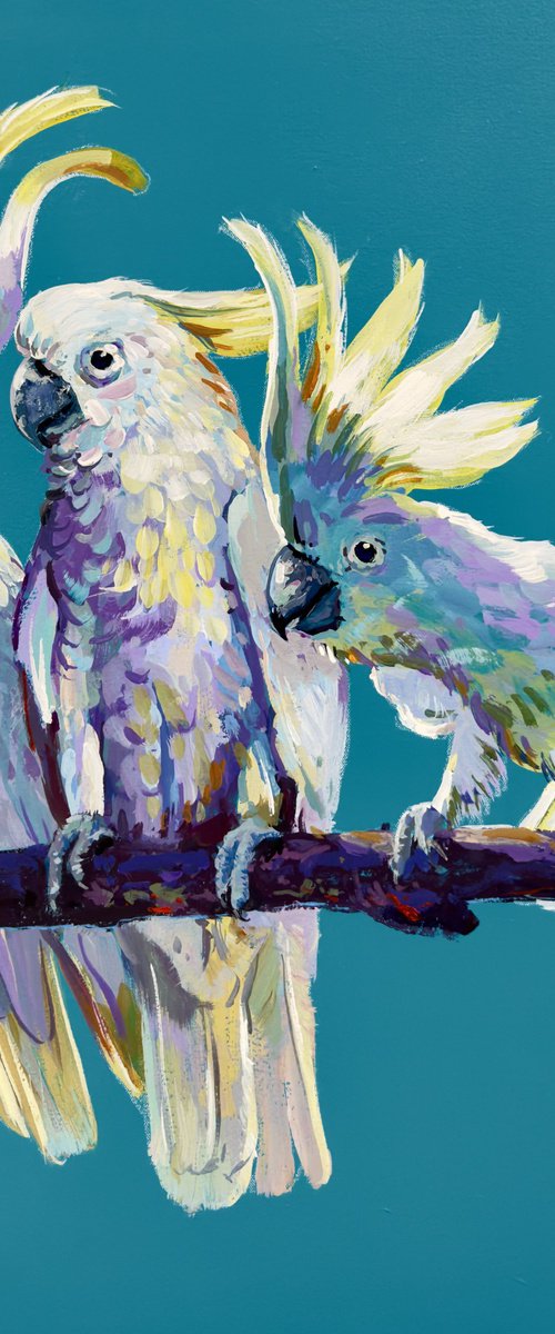 Yellow Crested Cockatoos by Jos Coufreur