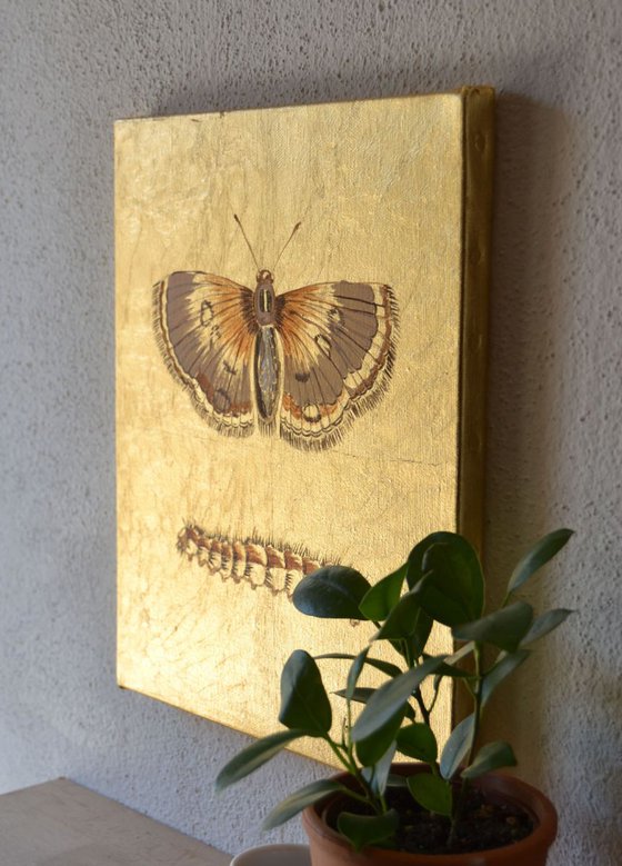 My Little Golden Moth Oil Painting on Lacquered Golden Leaf