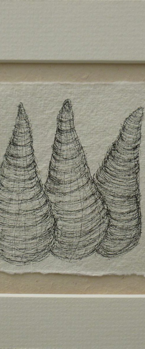 Structures From Nature 4 by Fiona Philipps