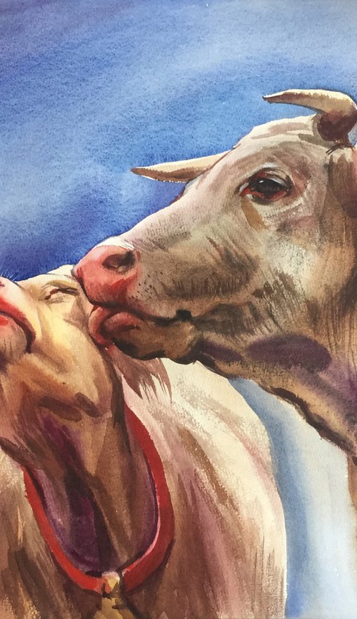 Cow kiss. Romantic painting. Cow painting. Gift for a couple. Present for the wedding by Natalia Veyner