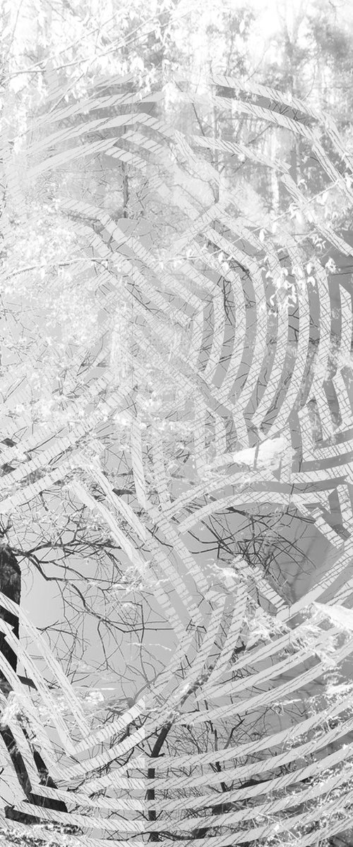 Ritual 2 by Connected Thoughts
