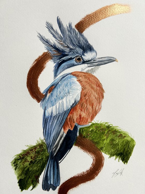 Kingfisher