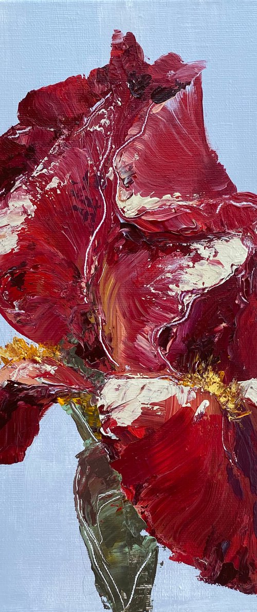 RED IRIS - original floral painting on canvas by Oksana Petrova