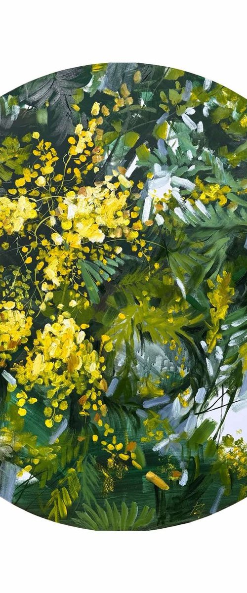 Mimosa by Olena Hromova