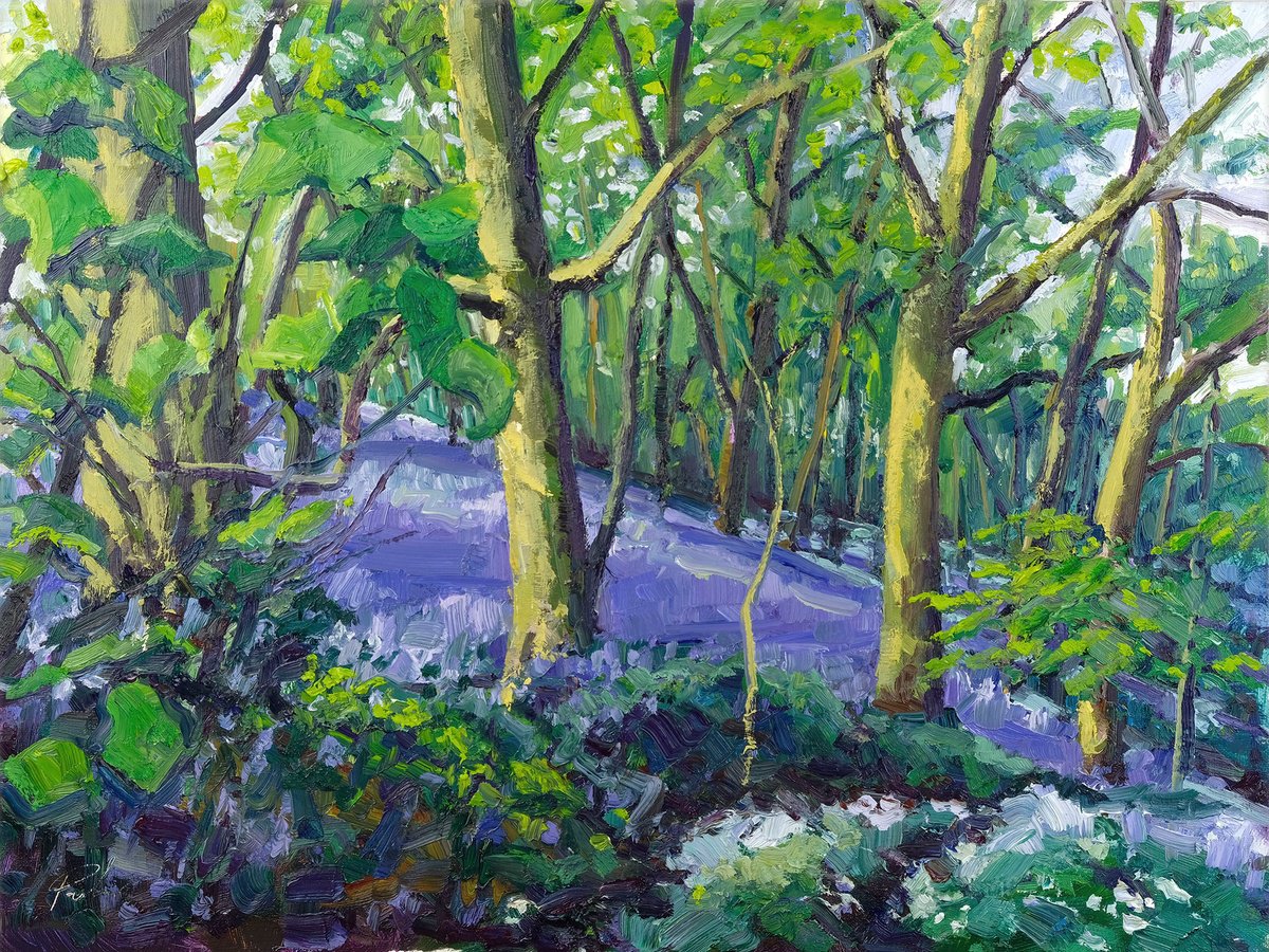 Bluebells at Beacon Banks by Jeff Parker