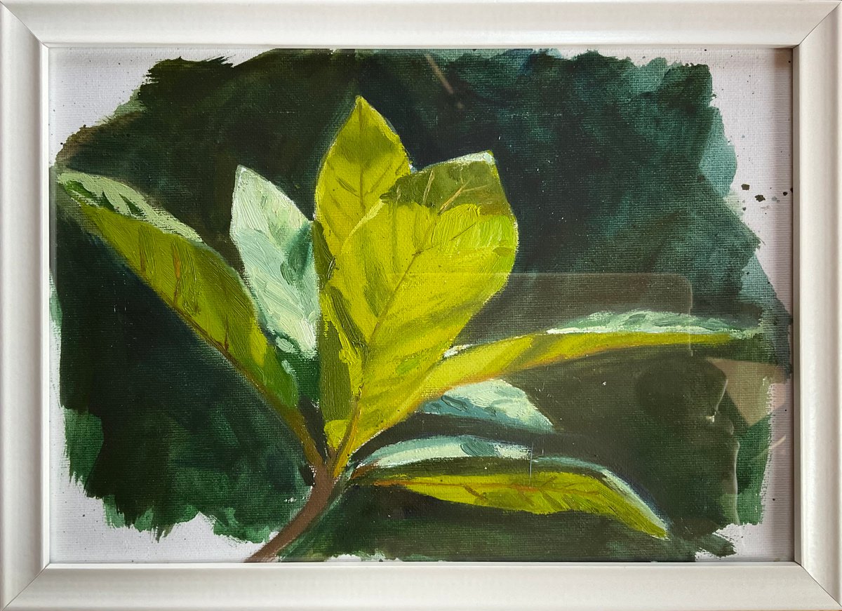 Green morning 21х29,5 cm| oil painting by Nataliia Nosyk