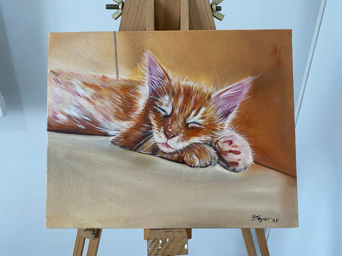 Sleepy kitty oil painting by Bethany Taylor