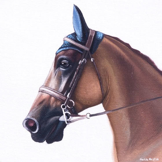 Horse Portrait 14