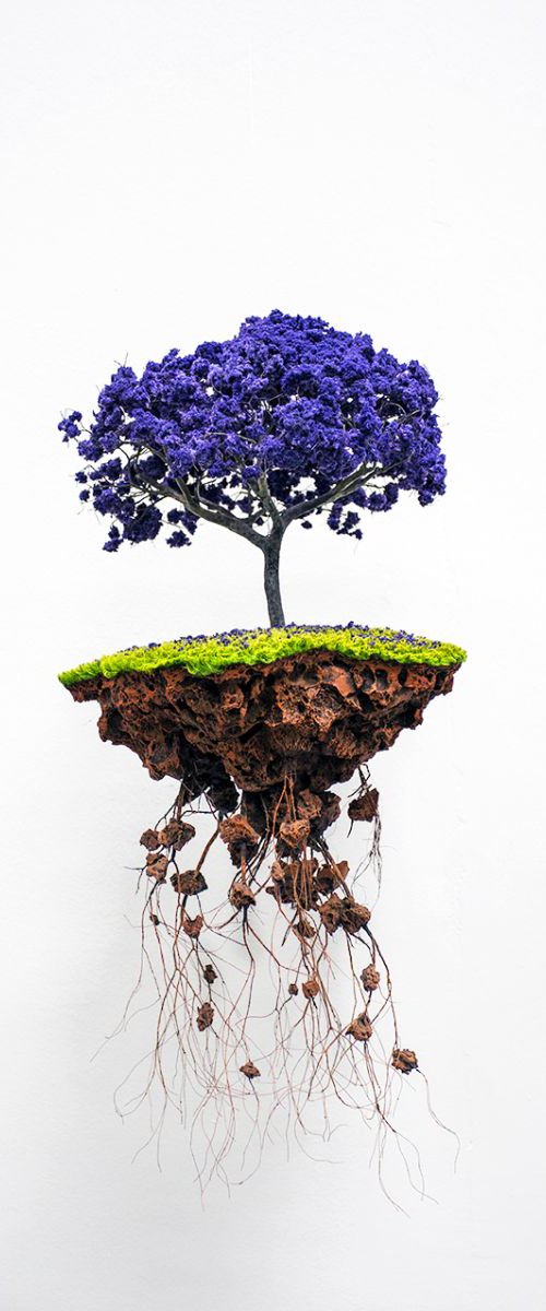 Blue Bonsai by Chiara Vignudelli