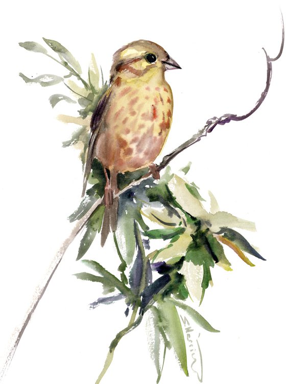 YellowHammer