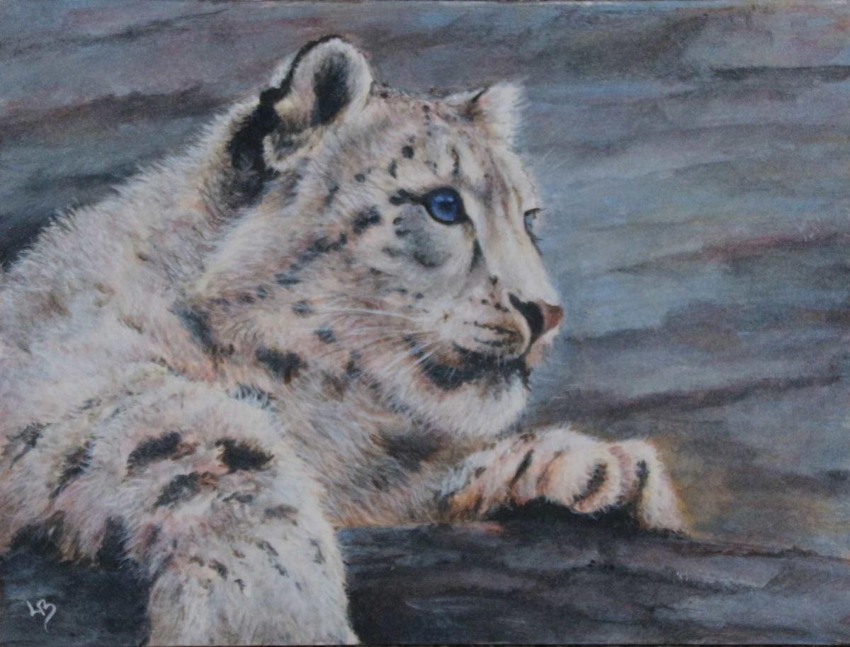 Snow Leopard Cub by Lauren Bissell