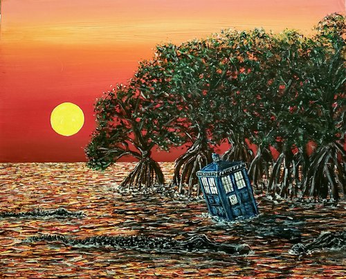 The Doctor In The Everglades by Robbie Potter