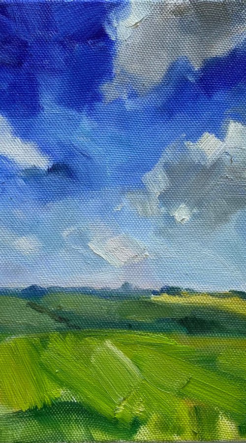 Noon field by Nataliia Nosyk
