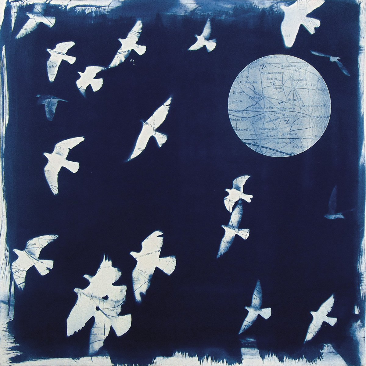 Illustrative Animal Print By Manel Villalonga, 18 X 18", Cyanotype 19 Freedom, Original Artwork