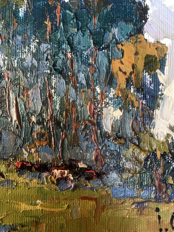 In the Shadow of Sedge