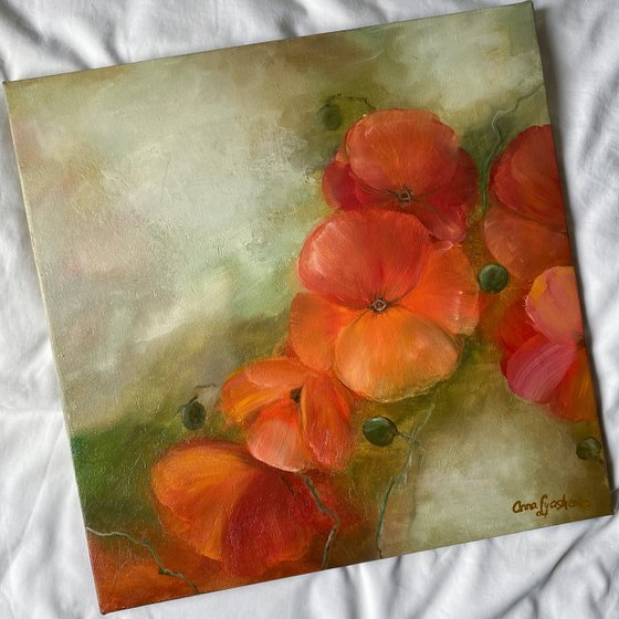Poppies on Olive
