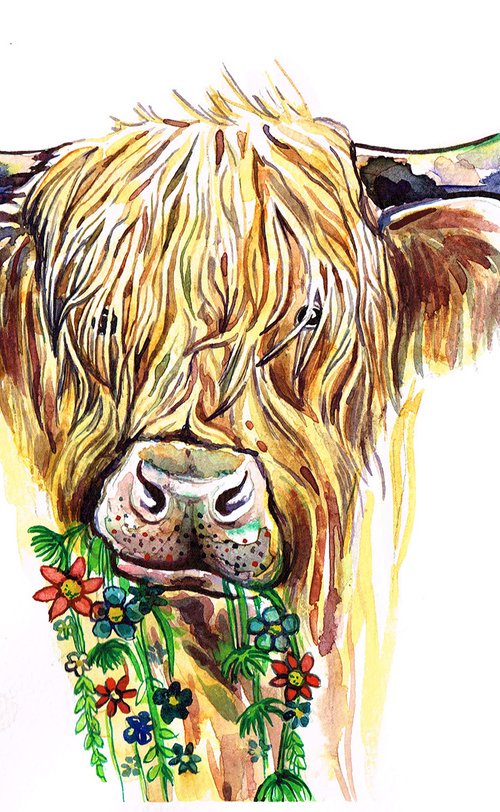 Highland Moo Cow by Diana Aleksanian