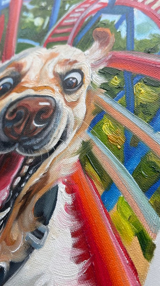 No Brakes | Dog on Rollercoaster