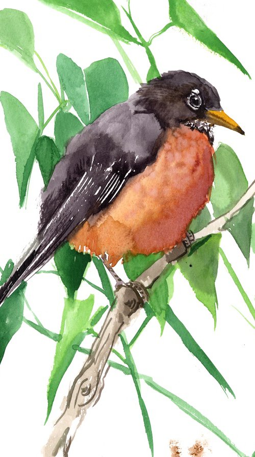 American Robin Bird Art by Suren Nersisyan