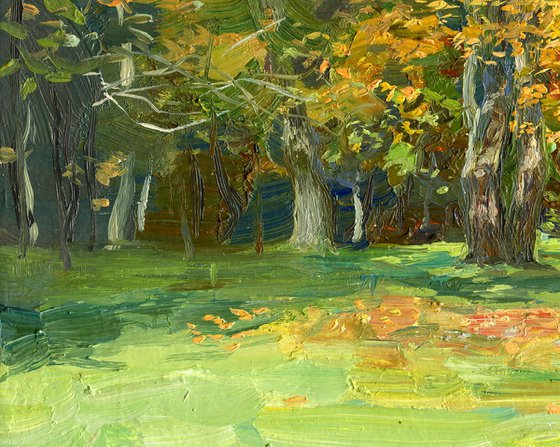 Autumn leaves