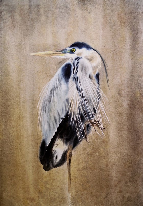 Grey heron  - Great Blue Heron - bird painting -  heron