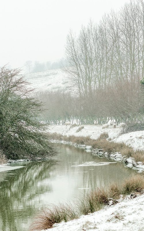 River Tillingham in the Snow. by Adam Regan